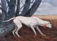 Jhonny Gutierrez 1996年作 西班牙猎犬